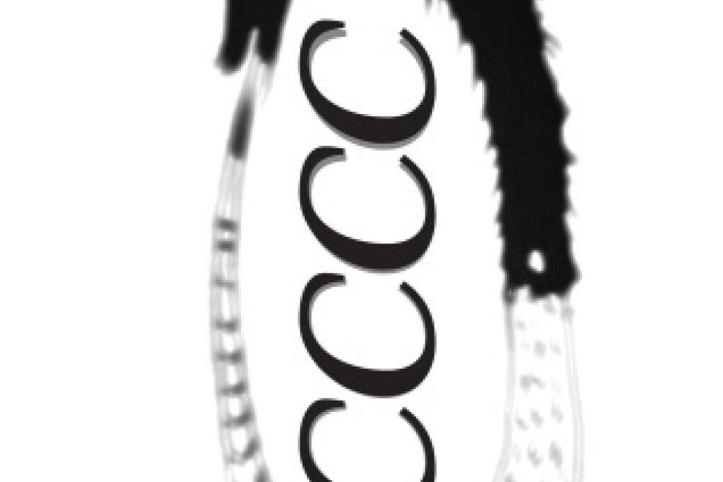 CCCC – Centre for Cybernetic Culture Circulation